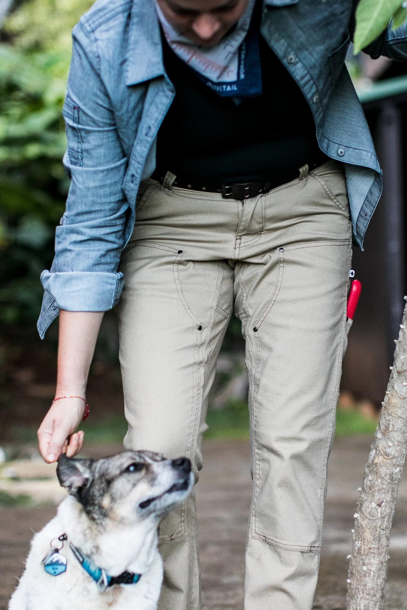 Anna Taskpant in Khaki Canvas - Image 6